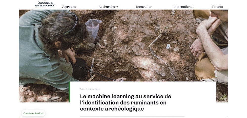 Actu INEE