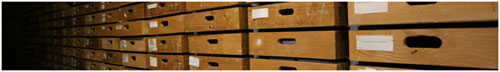 Collections archéologiques - réserve de 110 mètres carrés