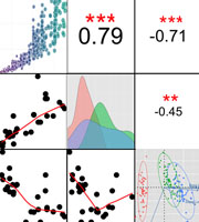 Statistiques