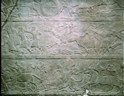 Relief from reign of Ashurbanipal, depicting campaign against Arabs.British Museum, London