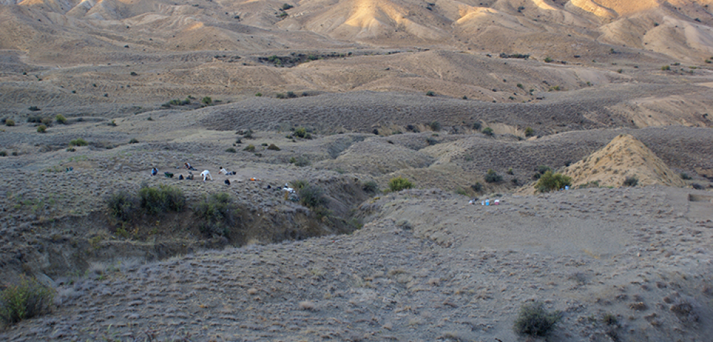 Zirinçlik (Azerbaïdjan): Camp mobile chalcolithique (ca. 4200-3500 av. n.è) © MBA Catherine Marro